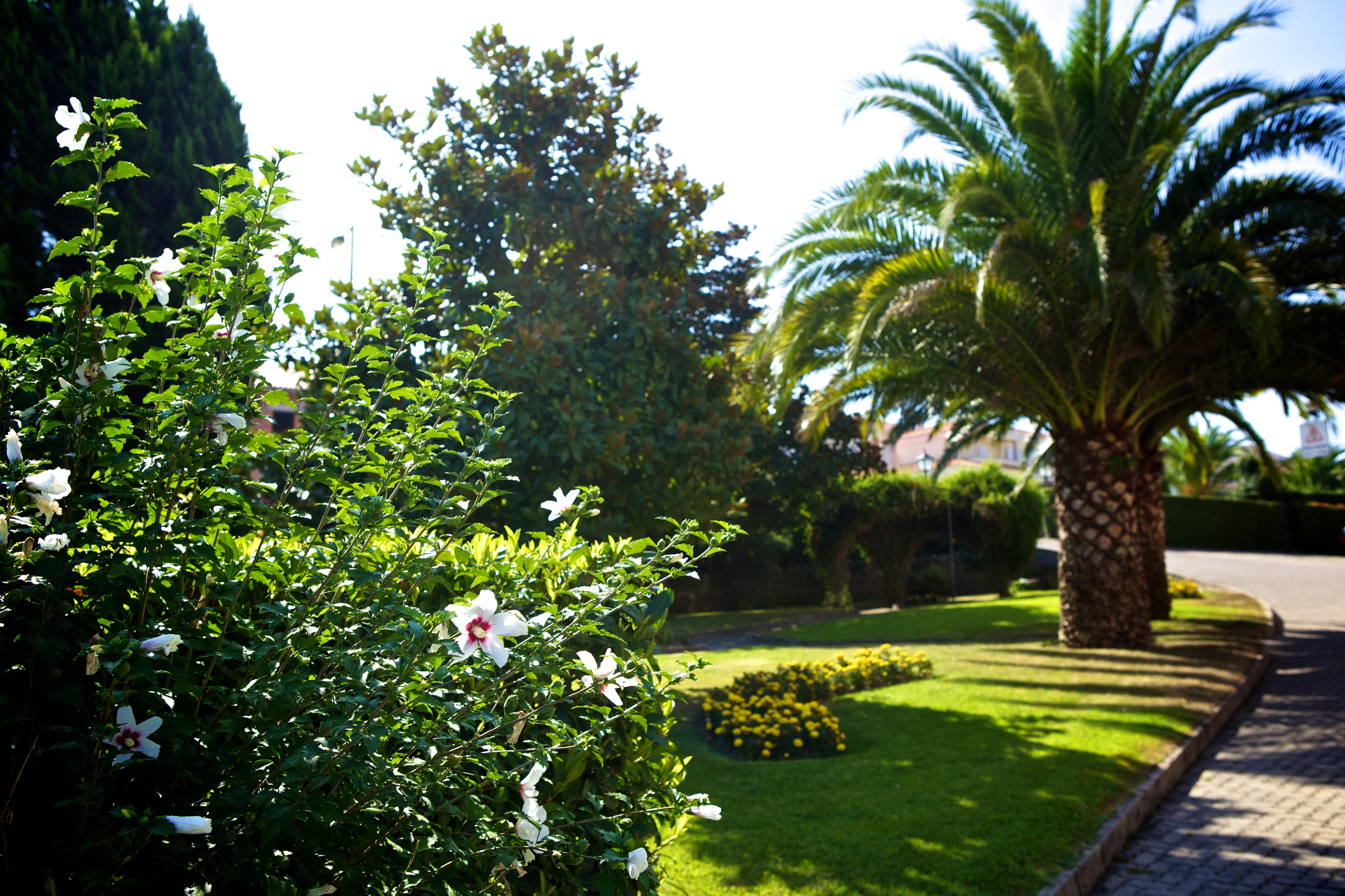 Hotel Sj Tondela Exteriör bild